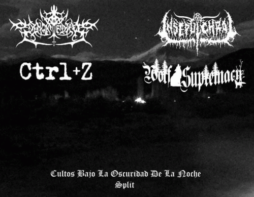 Wolf Supremacy : Culto Bajo la Oscuridad de la Noche - Split